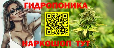 спайс Кинель