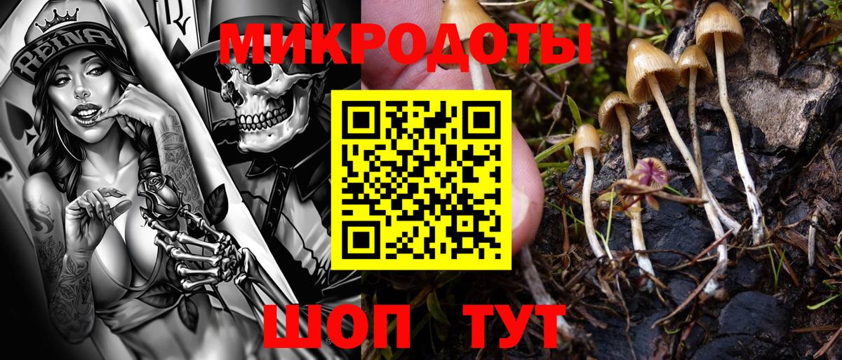 Галлюциногенные грибы MAGIC MUSHROOMS Шатура